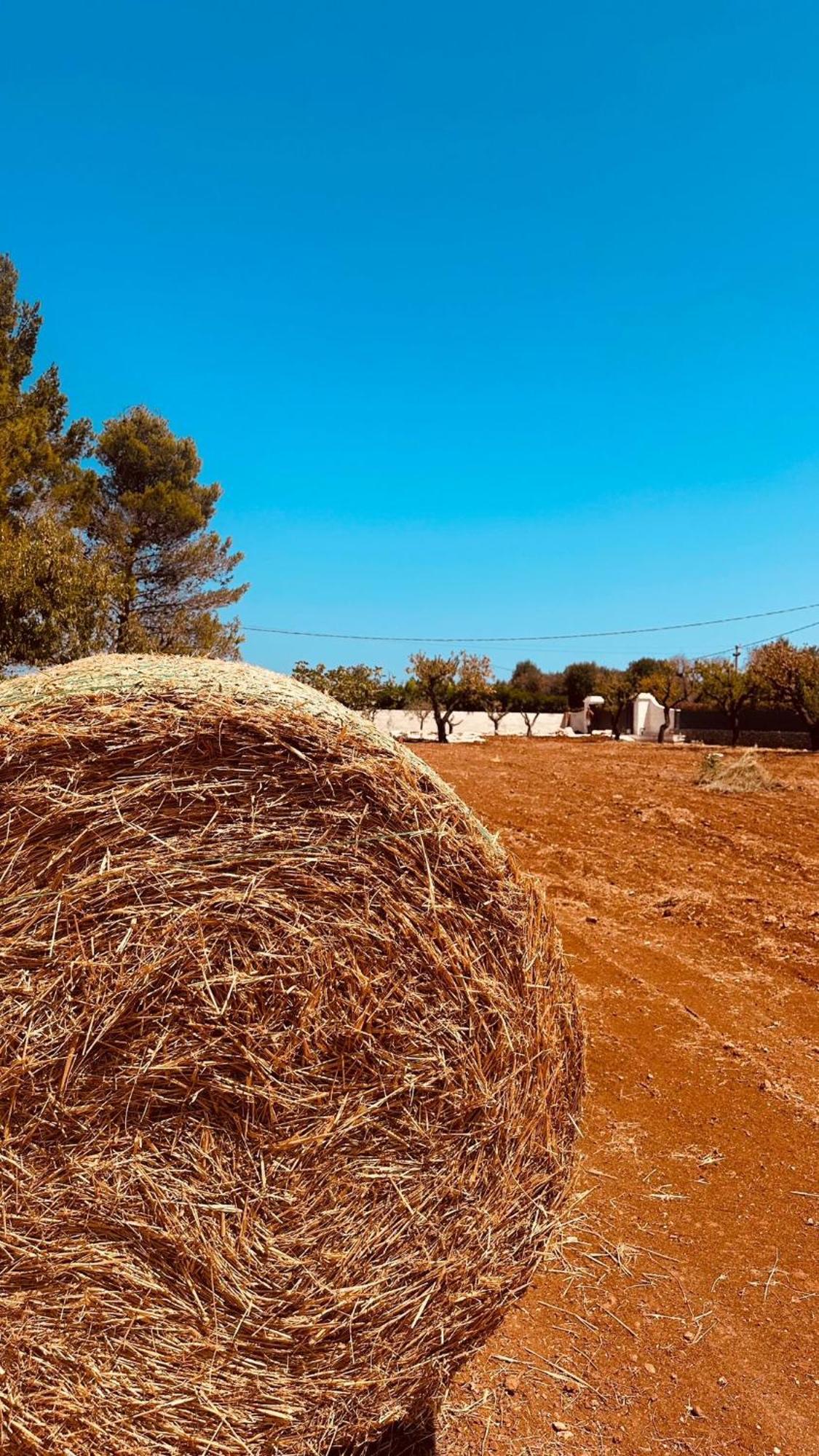 Ca Summa Agriresort Ostuni Exterior foto