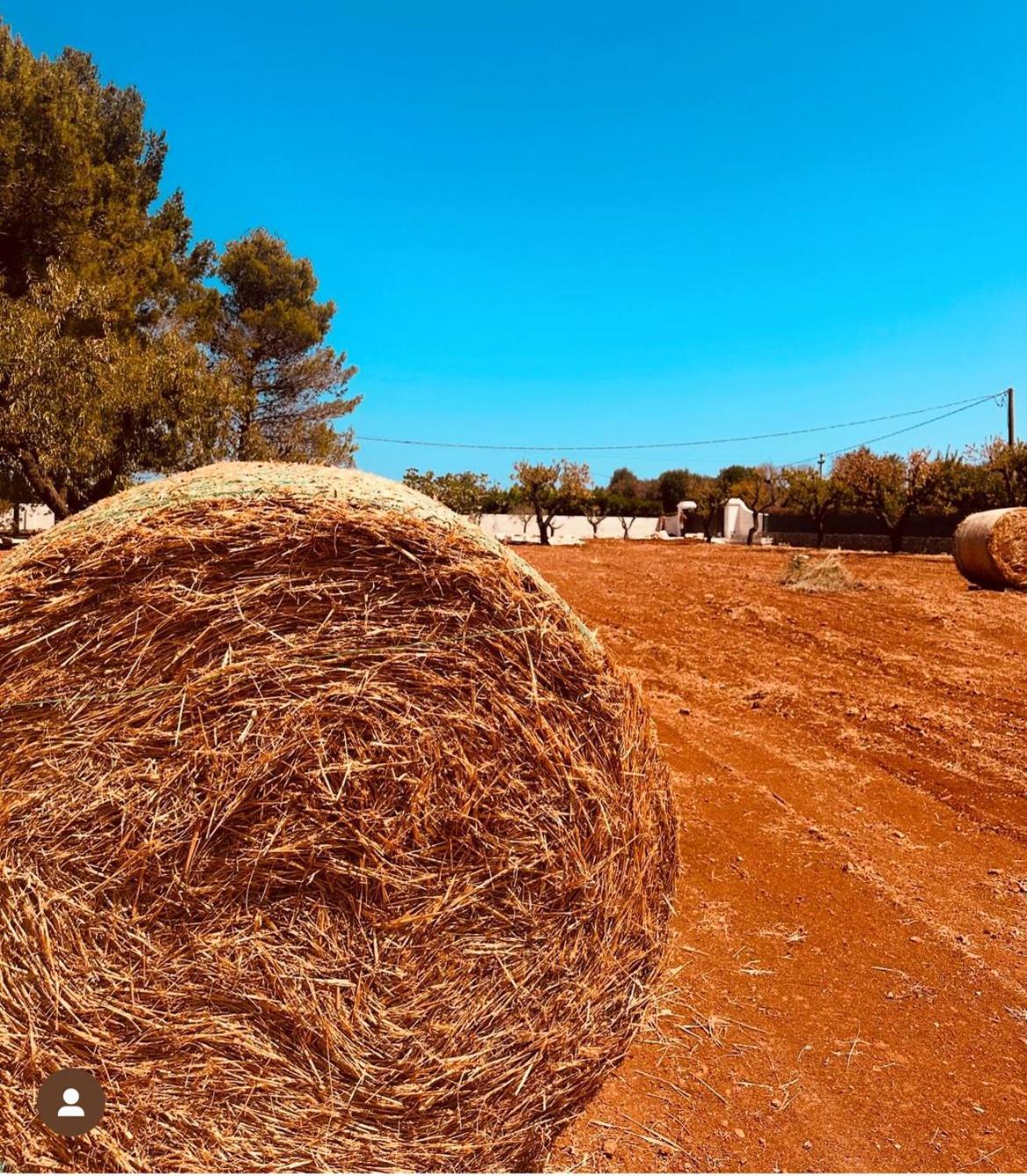 Ca Summa Agriresort Ostuni Exterior foto